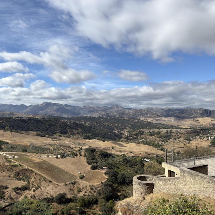 Family terraces and cafés for calm evenings in London